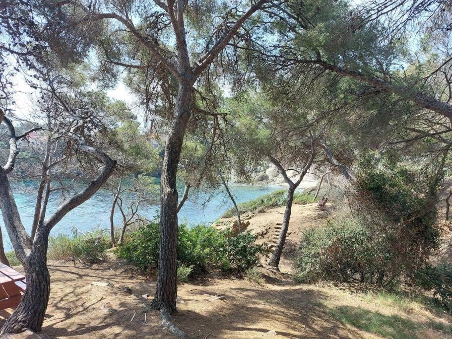 Charmant Mazet - Plage A Pied Saint-Peire-sur-Mer Bagian luar foto